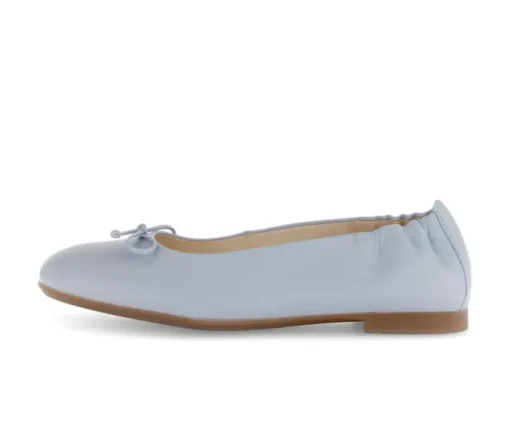 Elegante ballerina blauw