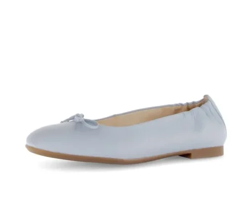 Elegante ballerina blauw