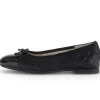 Elegante ballerina zwart