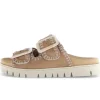 Slipper bruin