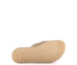 Slipper bruin