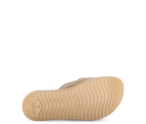 Slipper bruin