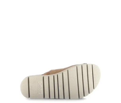 Slipper bruin