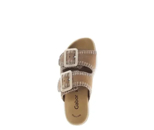 Slipper bruin