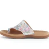 Slipper wit