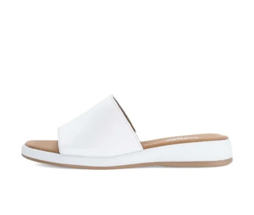 Slipper wit