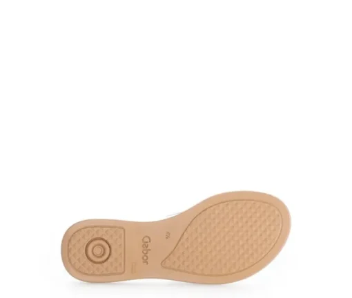 Slipper wit